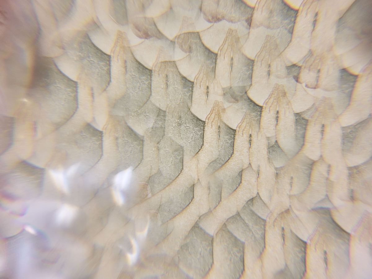 Out Beyond Ideas&nbsp;(single)